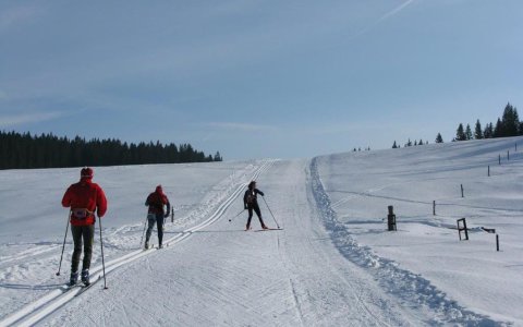 pokljuka1.jpg