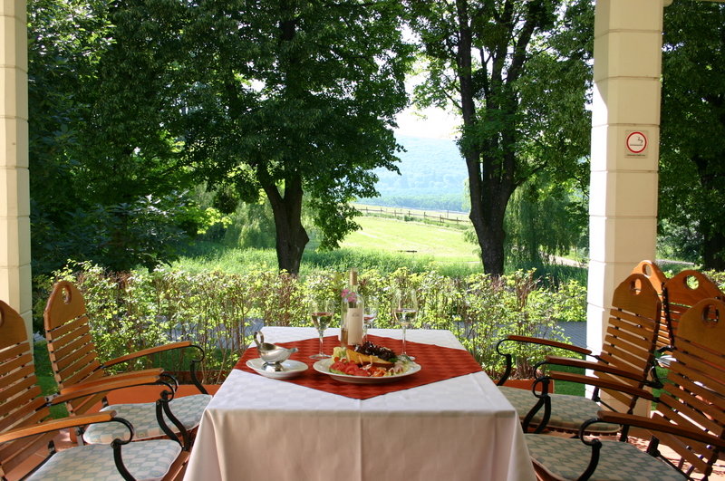 Kilátás a Szépalma Hotel teraszáról a Magas-Bakony erdőségeire