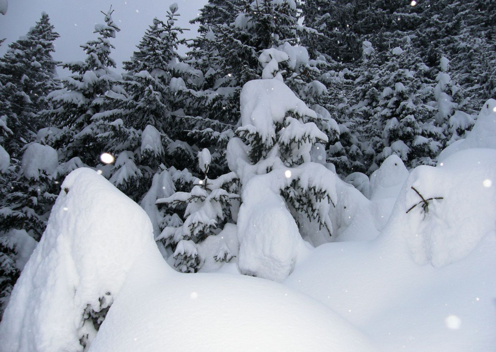 December végére jelentősre hízott a hótakaró nyugaton - Fotó: Stánicz Balázs