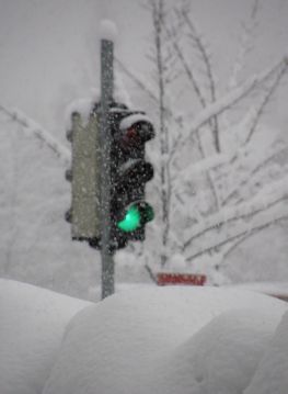 Lassan a zöldet sem látjuk - Fotó: Stánicz Balázs