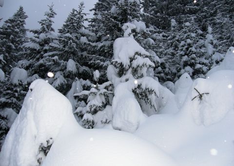 December végére jelentősre hízott a hótakaró nyugaton - Fotó: Stánicz Balázs