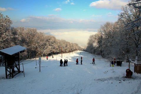 Tokajban is elégedettek az idei szezonnal | Fotó: Lilia007