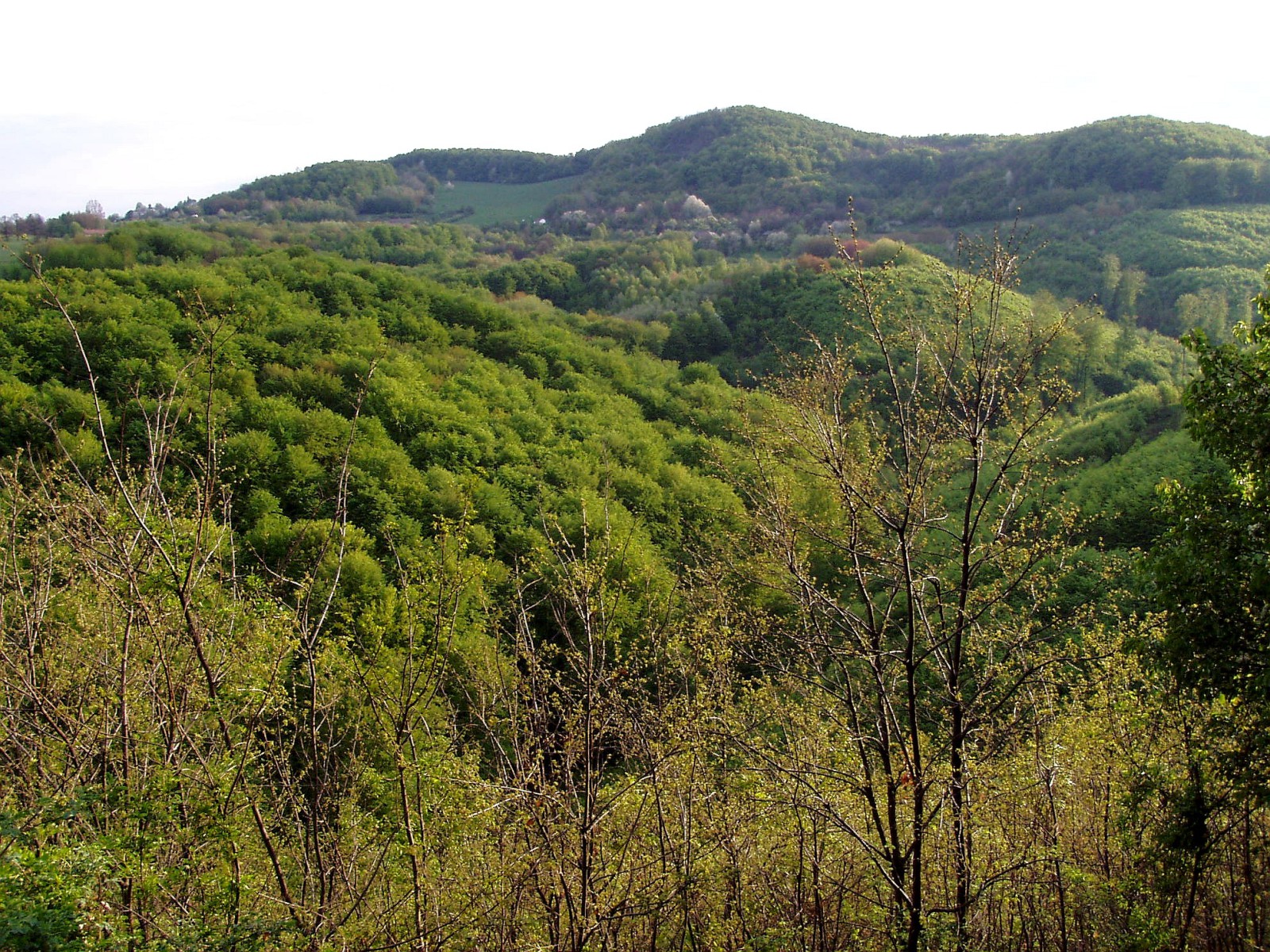 Szilváskő április végén