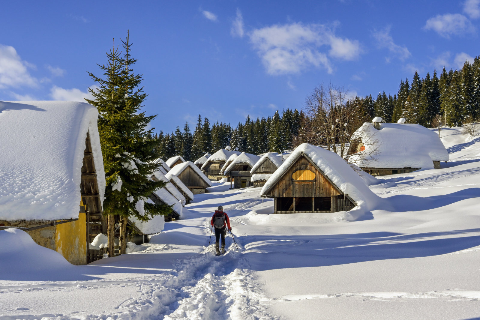 Pokljuka | Fotó: Andrej Tarfila