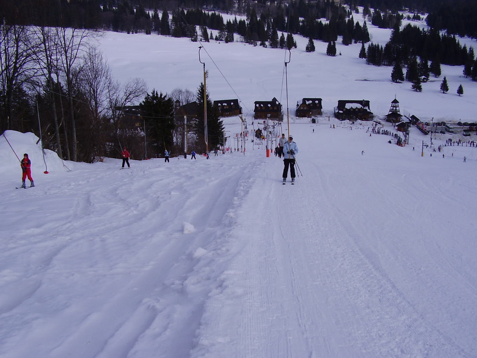 P3100082.JPG