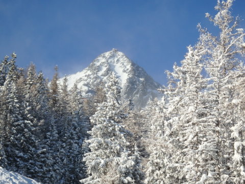 A fákat is feldíszítette a hóesés