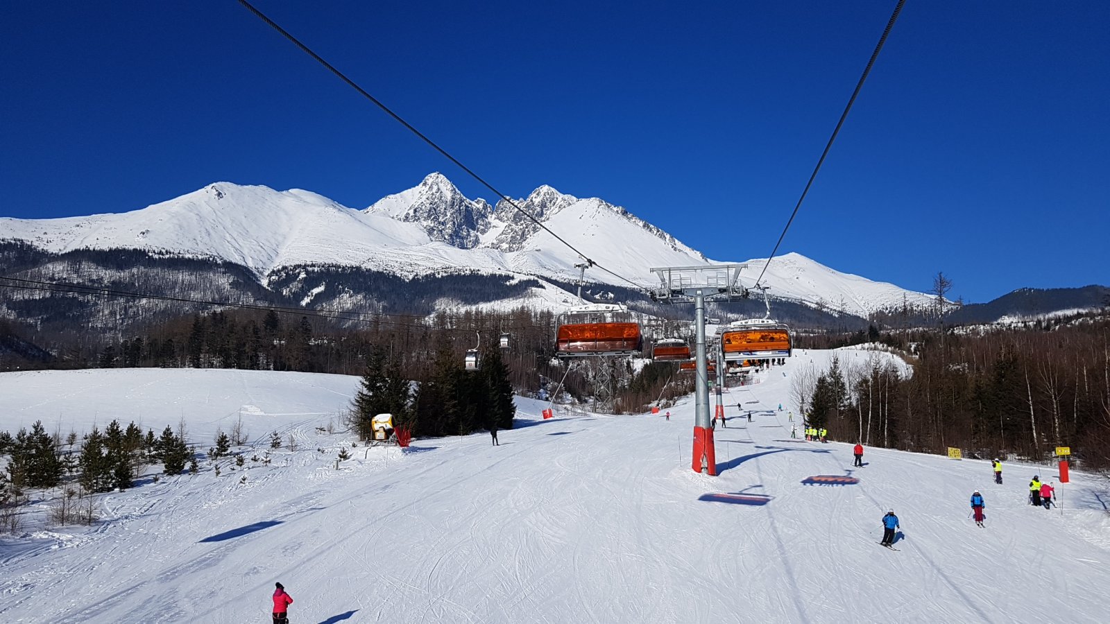 20190121-103909.jpg