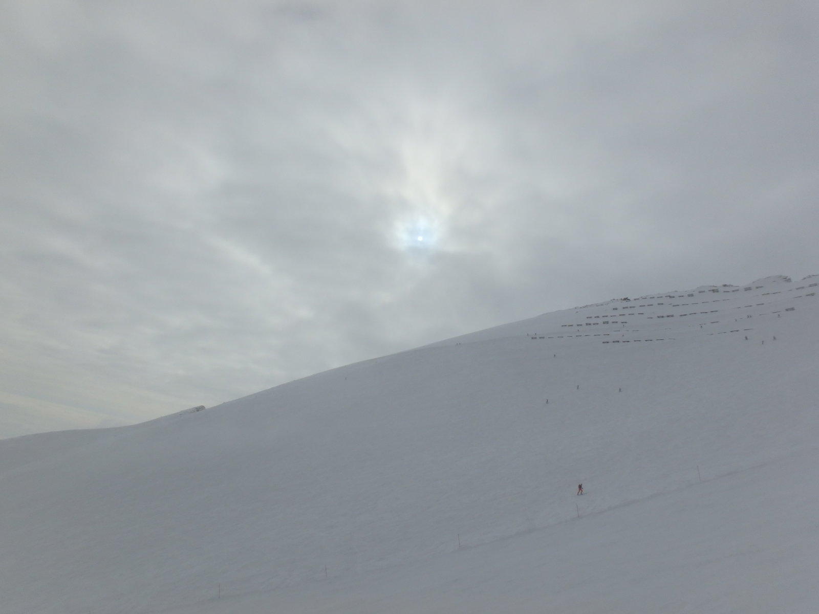 A napocska egész nap harcolt