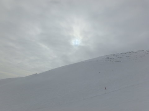 A napocska egész nap harcolt