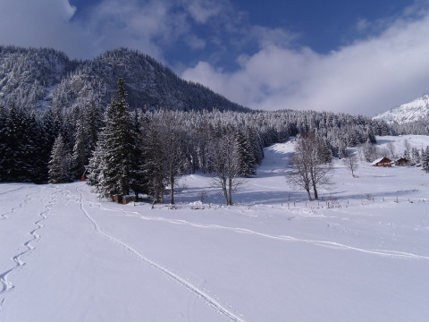 2011-Jan-Ausztria-sieles-Tauplitz-057.jpg