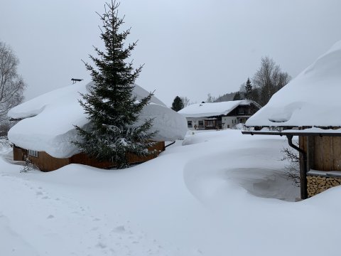 Falu fehér paplan alatt