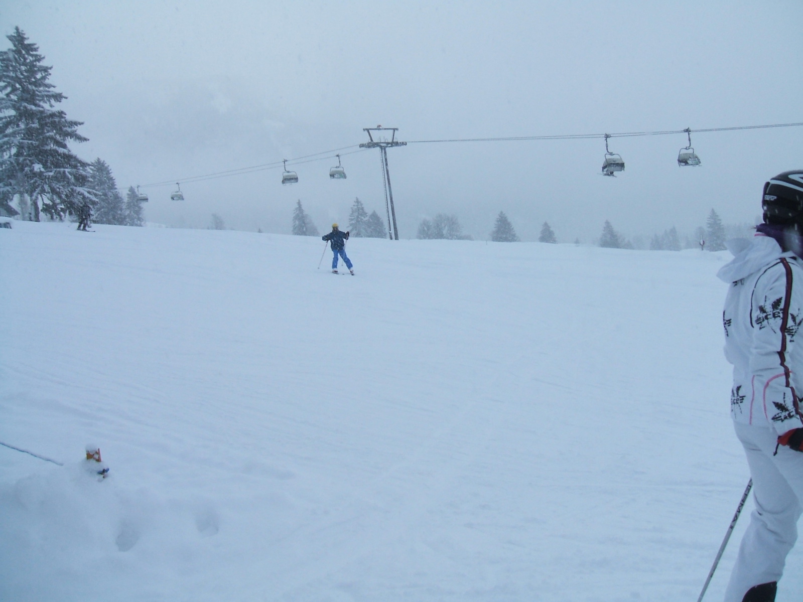 DSCF8678.JPG