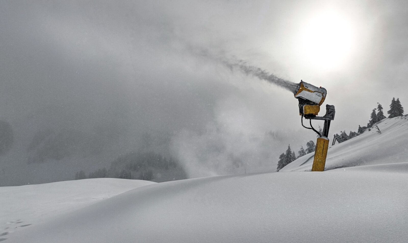 A TechnoAlpin TF10-es típusú hóágyúja I Fotó: technoalpin.com