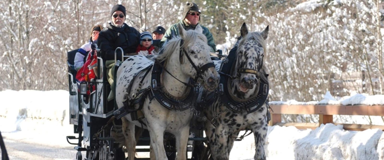 Lovasszánozás Raurisban - Fotó: Tourismusverband Raurisertal