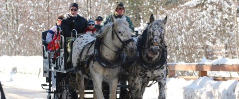 Lovasszánozás Raurisban - Fotó: Tourismusverband Raurisertal