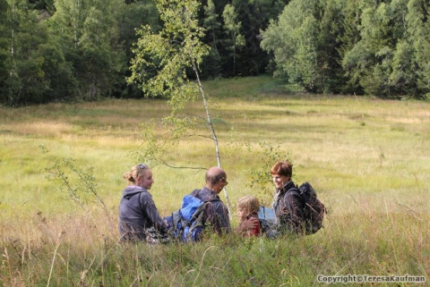Teresa fotó sétái