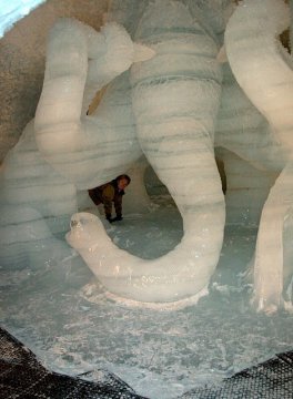 "Elefánt", a lábai közöt bujkálni lehet