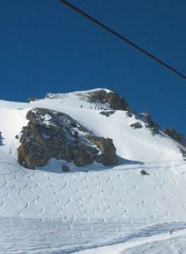 A szlklabordák mellett