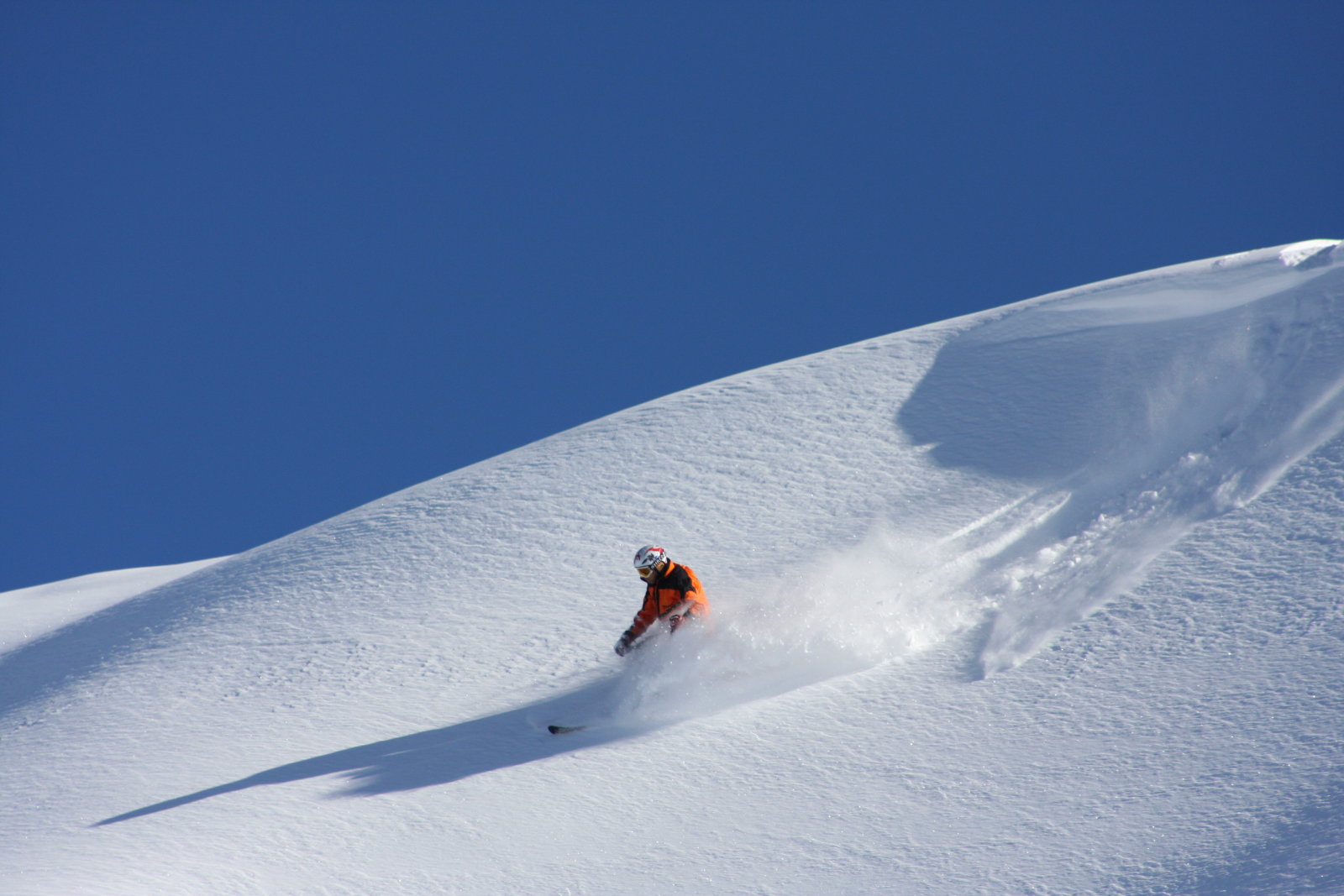 tonale-freeride-1.jpg