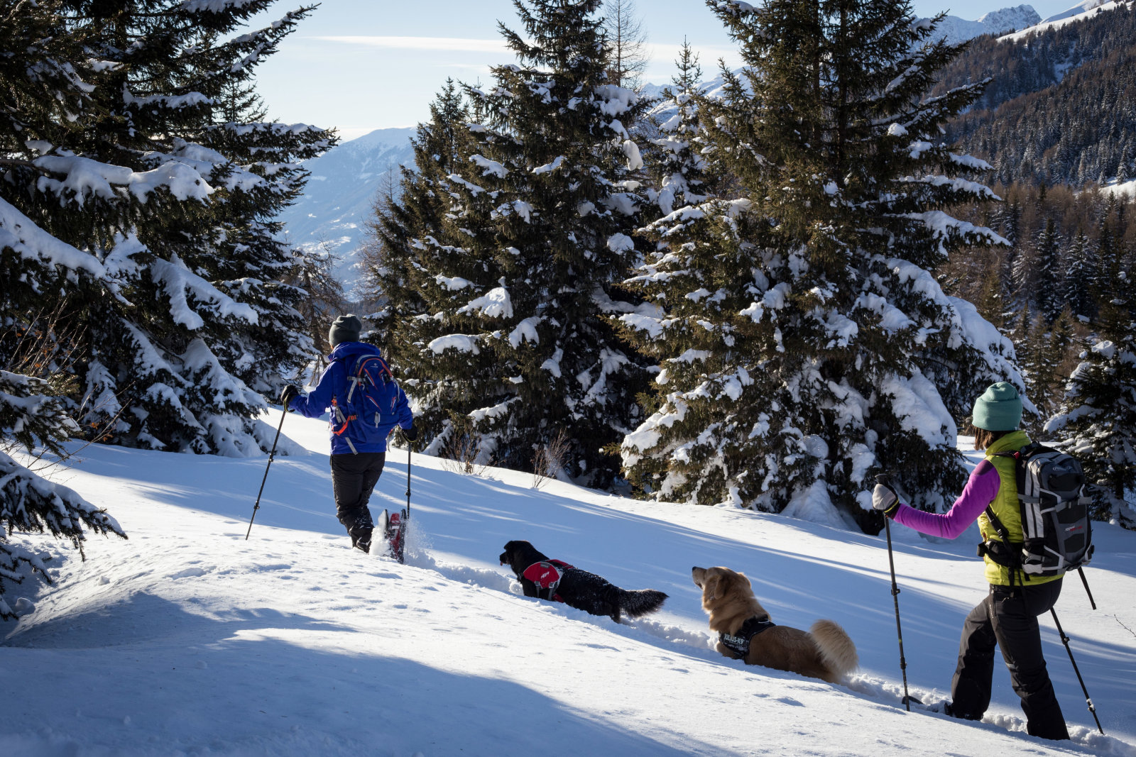 Hótalpas túraútvonalakat is találunk