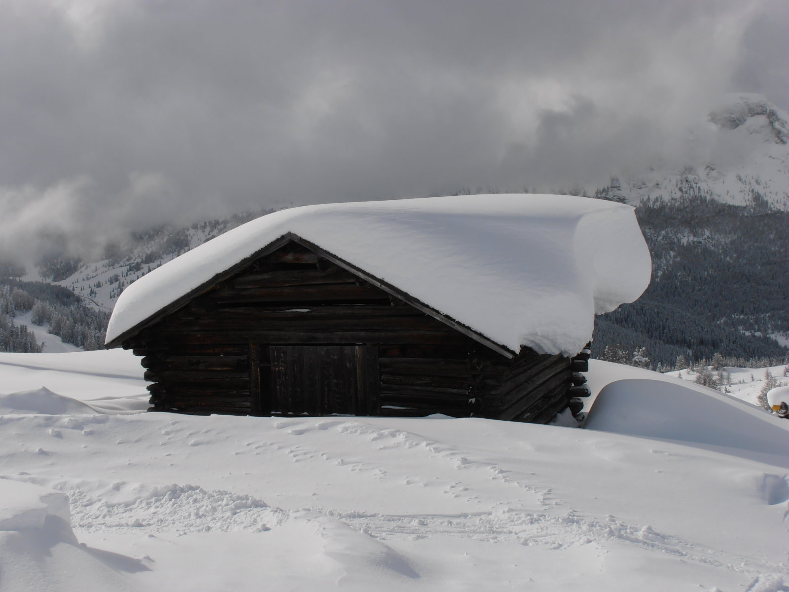 Ha_Holleanyó_megrázza...