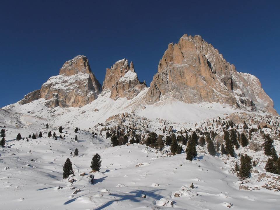 Dolomiti2.jpg