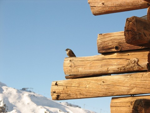 A La Mautiere étterem vendége