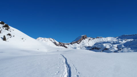 Az utat sem lehetett eltéveszteni