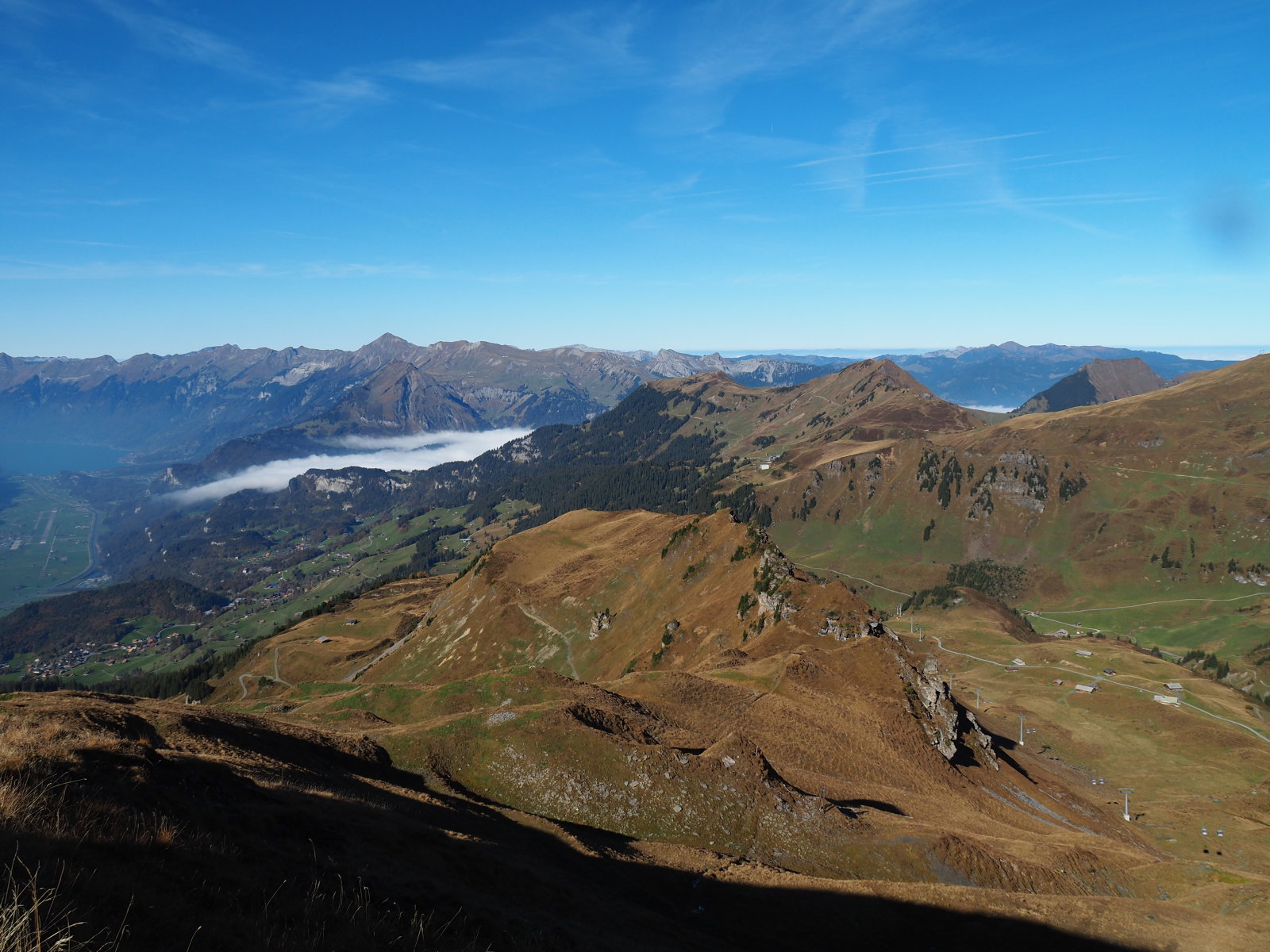 "Tejbefolyás" északról