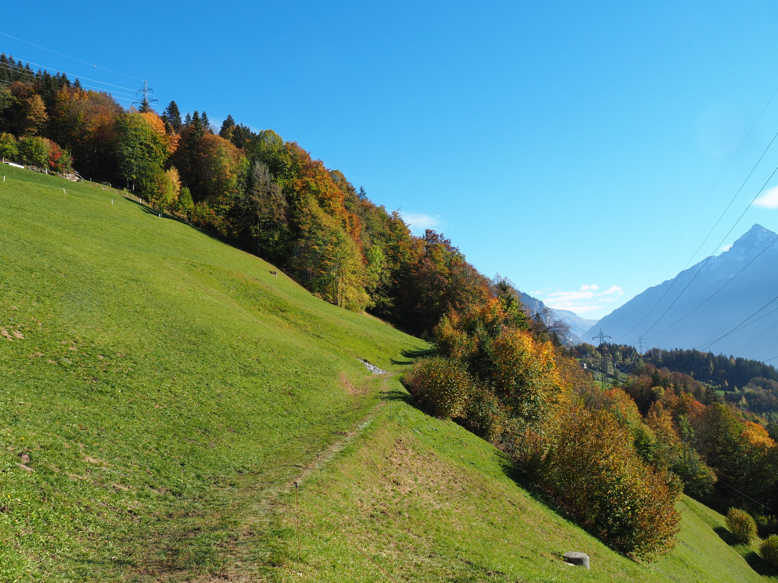 ezer színű természet