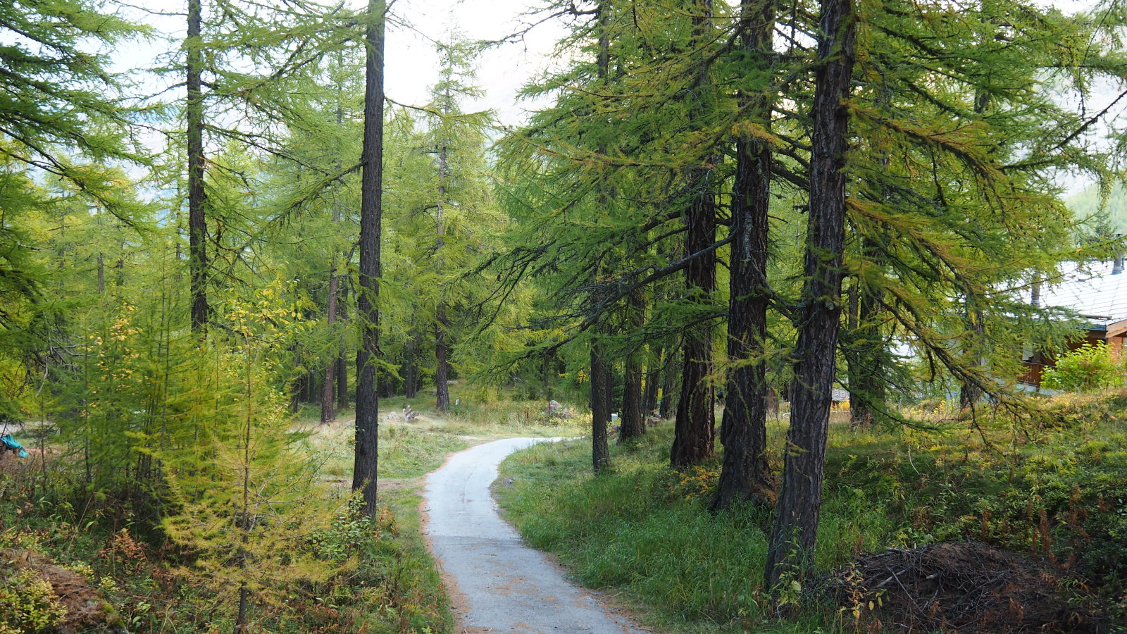 Ezen az úton sétáltak a klipp végén