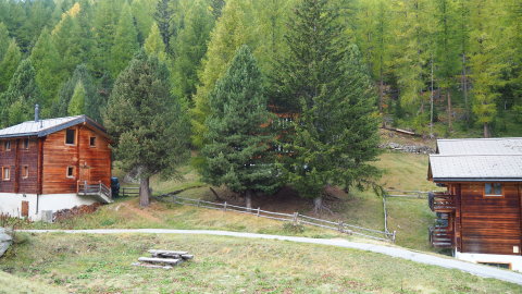 Itt pont a fenyők takarják, ebben a házban forgatták a Last Christmast 1984-ben, a járda magánterület oda nem léphettem be