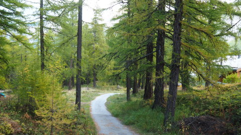 Ezen az úton sétáltak a klipp végén