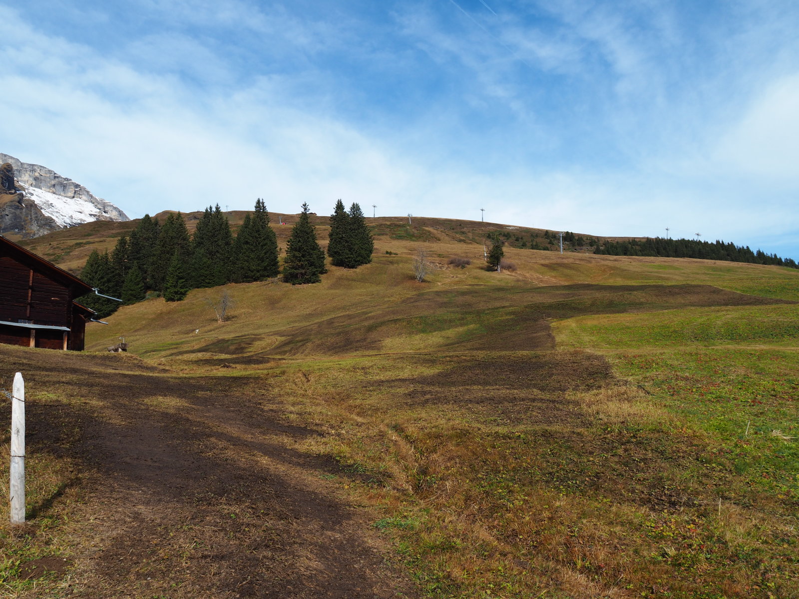 sípálya betrágyázva azért fekete a fű