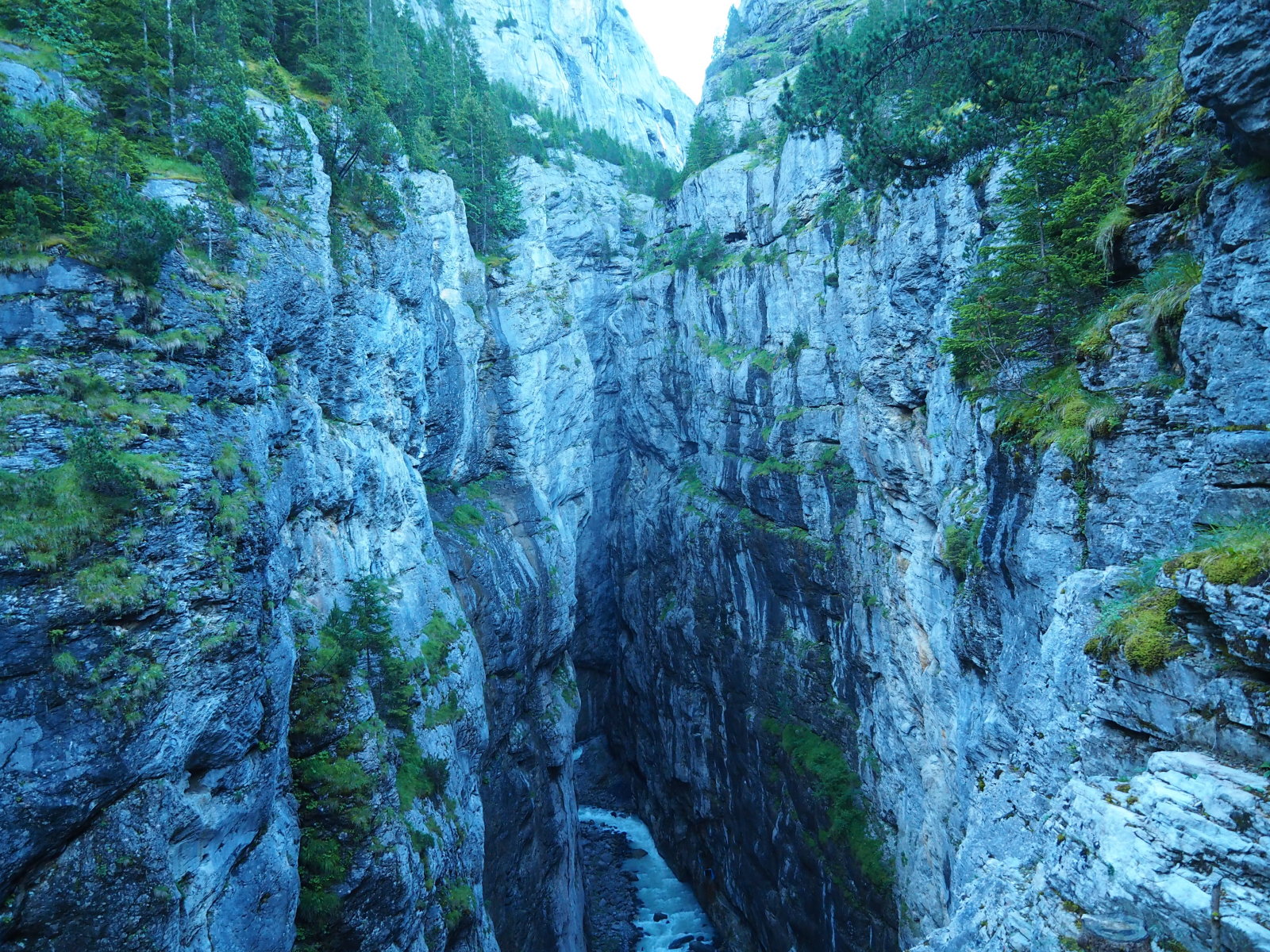 Grindelwald gletscherschlucht