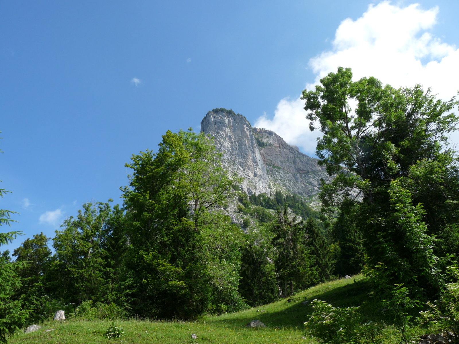 Itt még kb. 7-800m volt a szintkülönbség a csúcsig