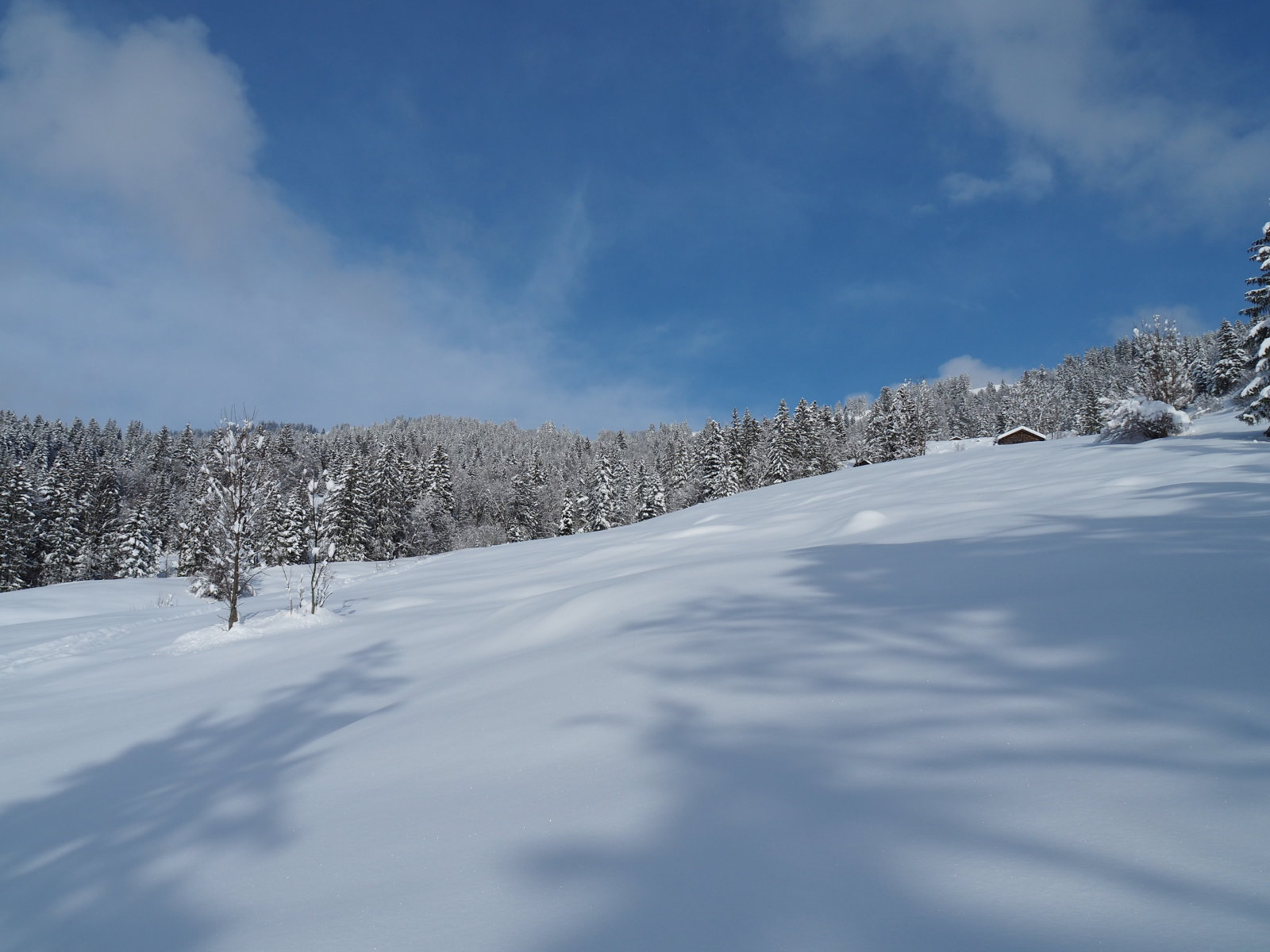 kezd alakulni a jó idő