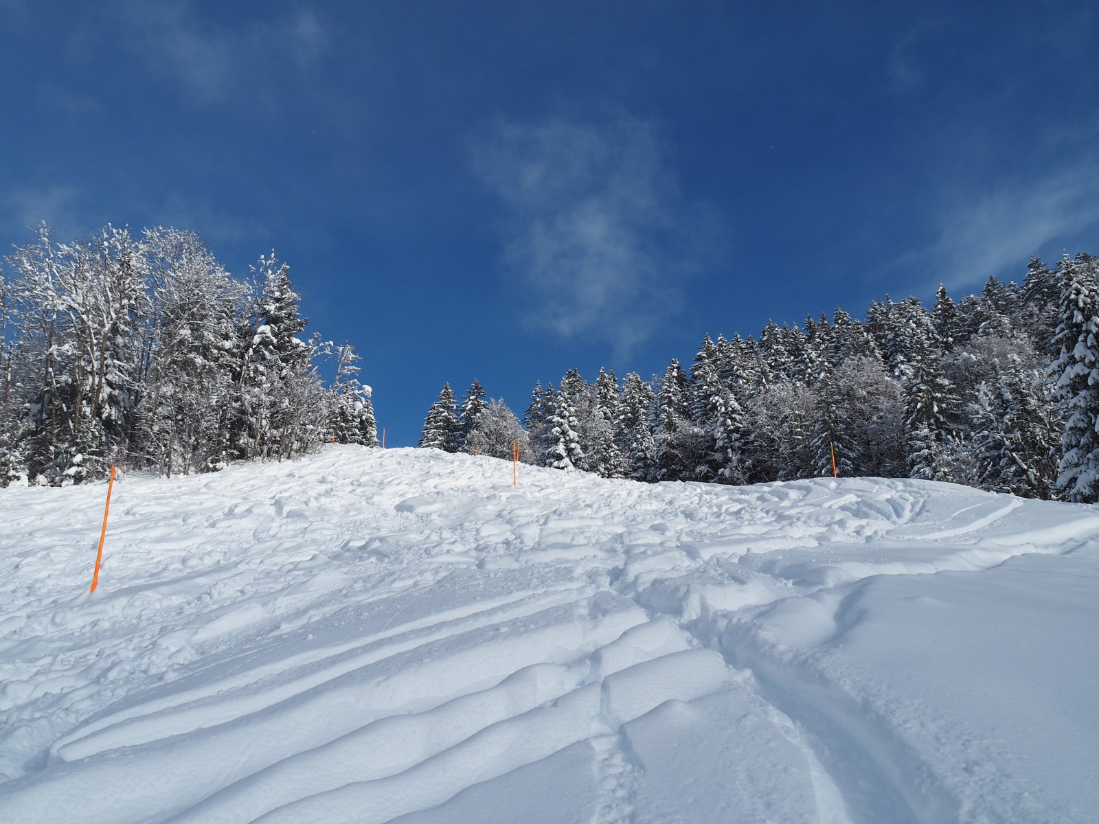 az útvonalat nem lehetett elrontani