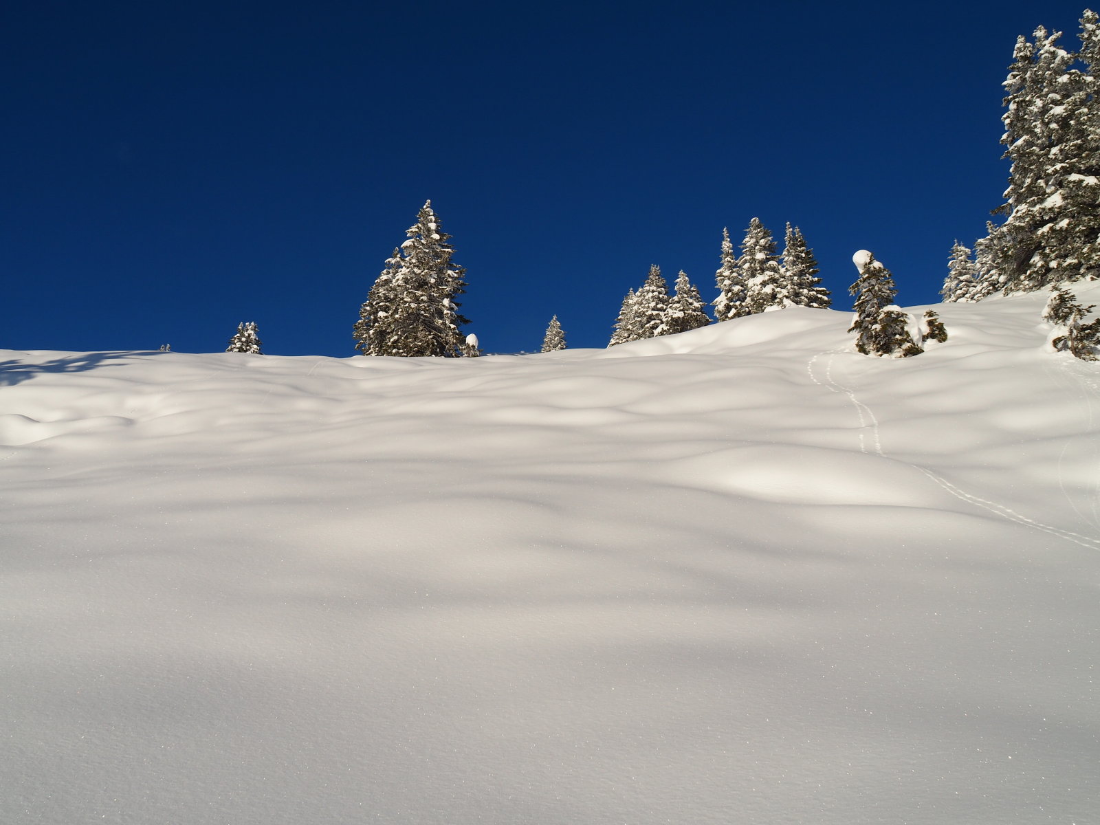meseszép érintetlen táj