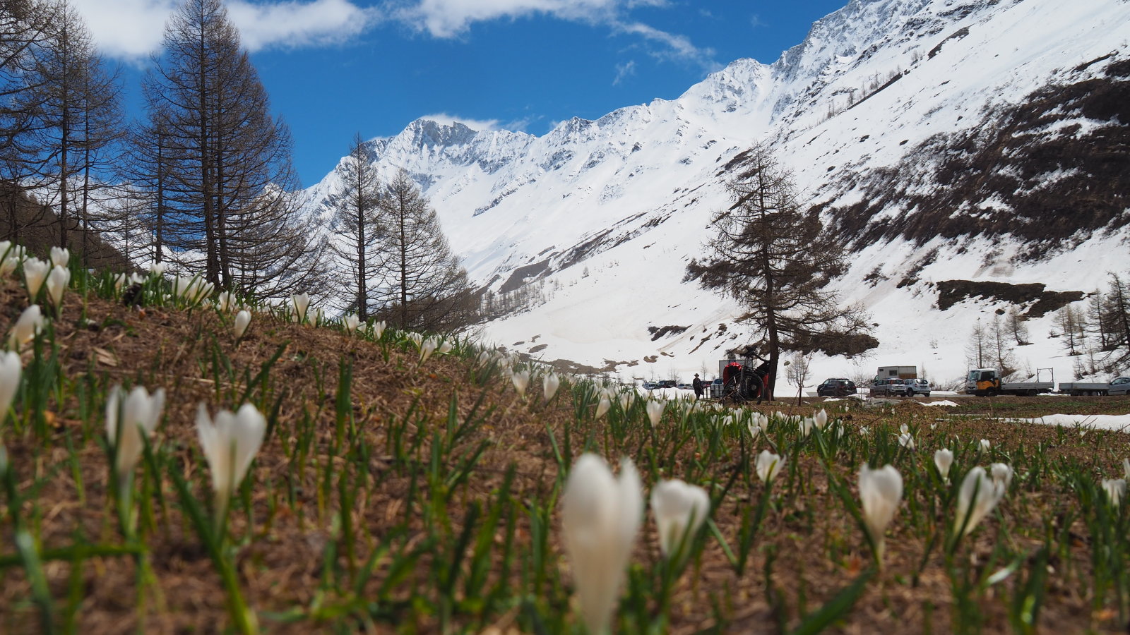 a szokásos kép ilyenkor