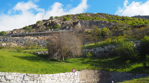 biztos, hogy én itt fel akarok menni? :)