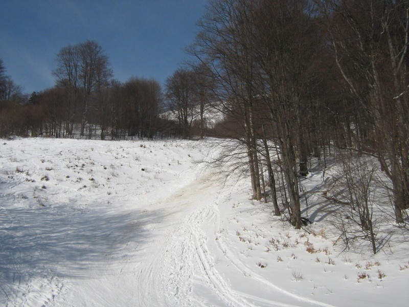 IMG-6575.jpg