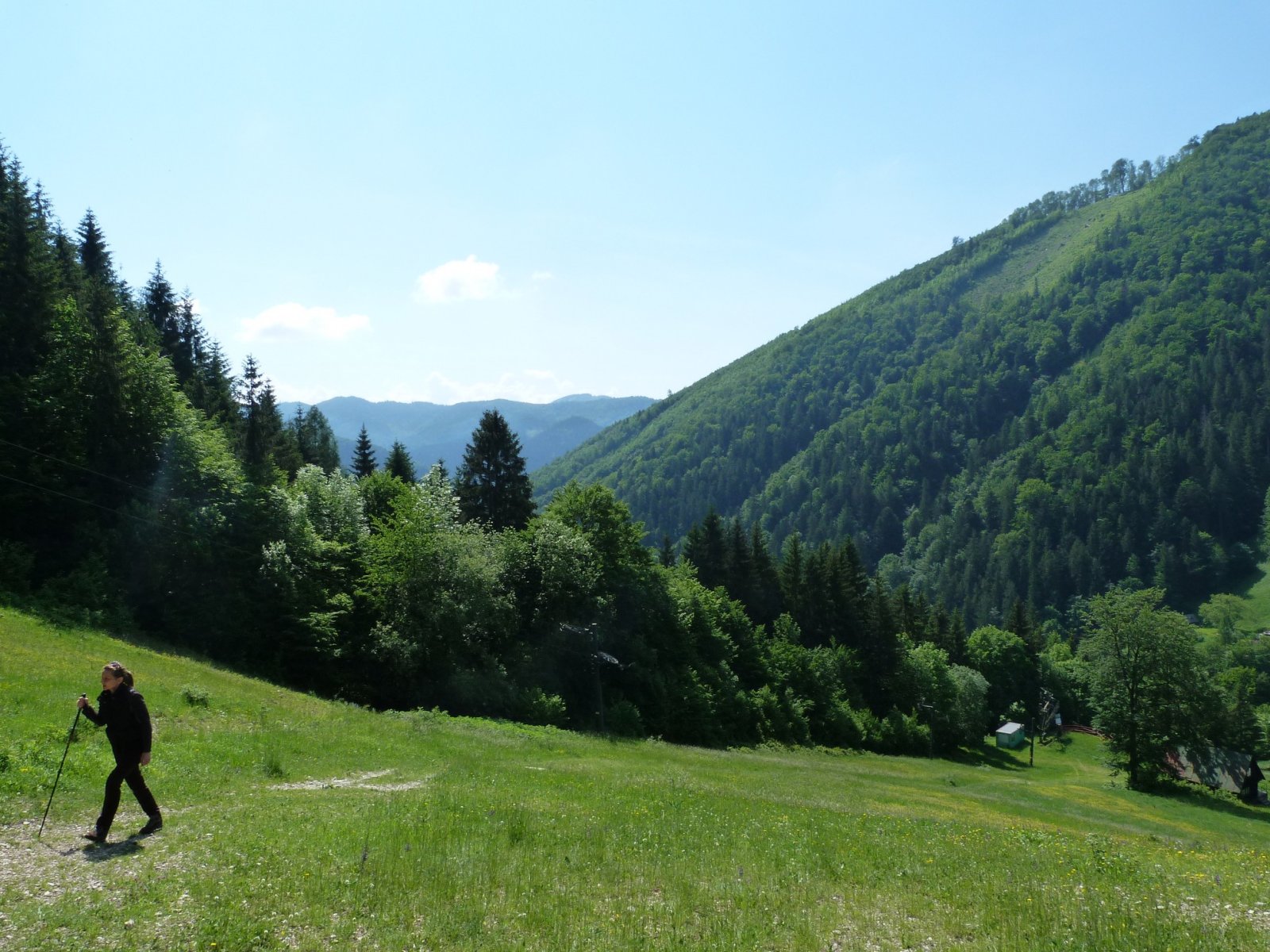 Sípálya alsó része