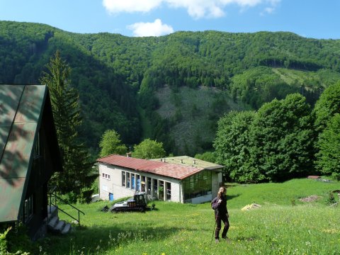 Sípálya alsó része