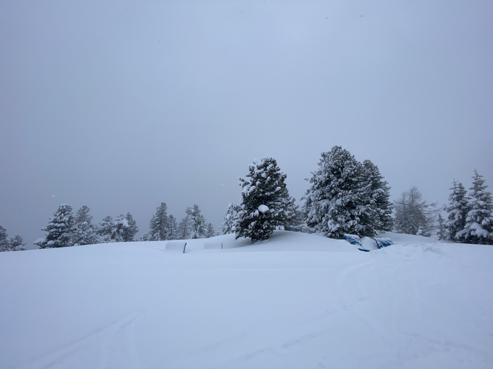 4A627E4E-173B-4A03-B50C-A3A38F50D1C3.jpeg