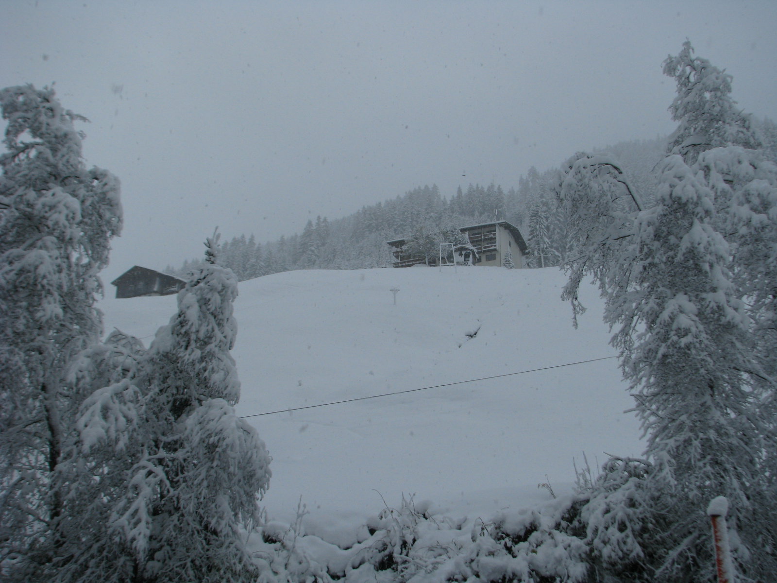 IMG-1114.JPG