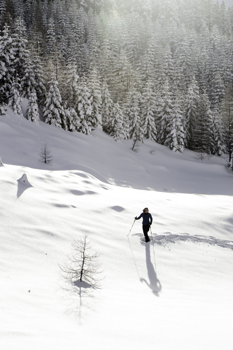 Fotó: Florian Bachmeier