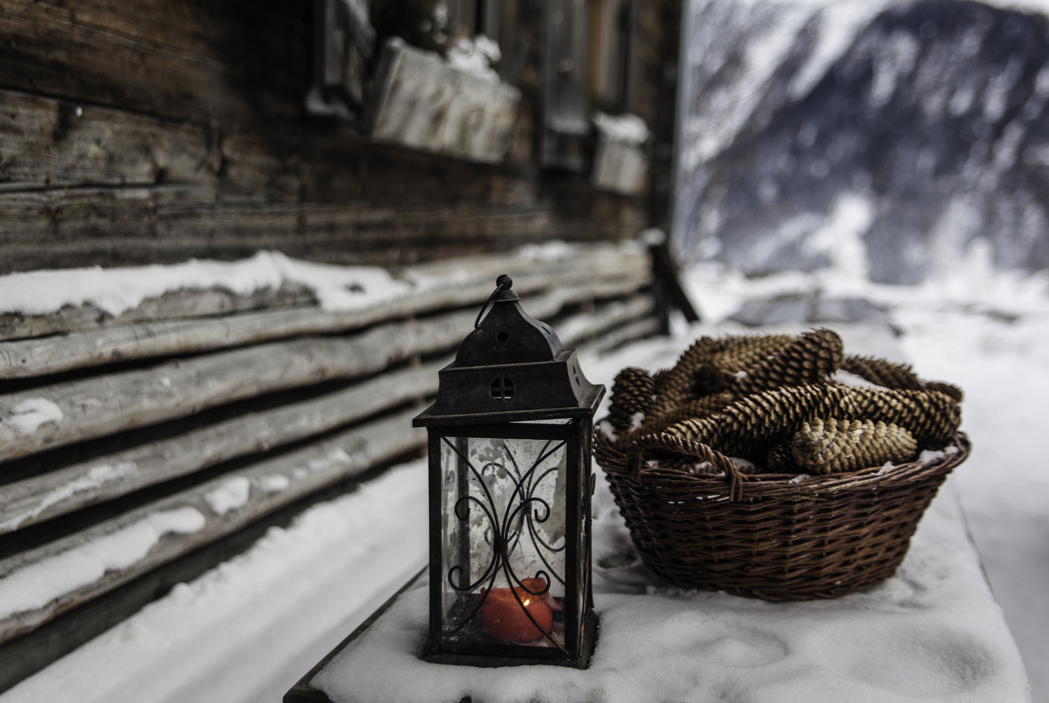 Fotó: Florian Bachmeier