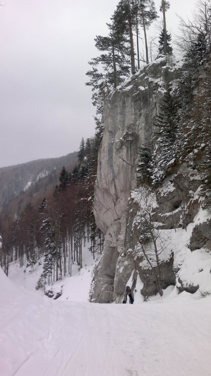 2013-02-21-2510.jpg