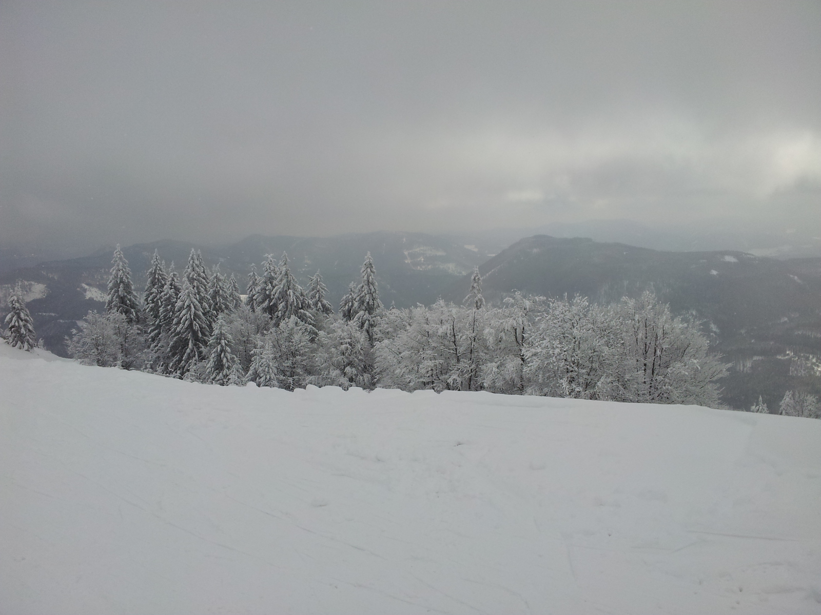 20130221-103304.jpg